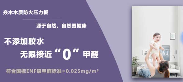 蛇年新啟，浙江焱木科技正式開工
